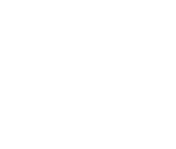 No Alt Tag